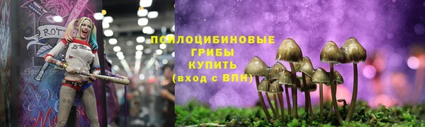 альфа пвп Снежногорск