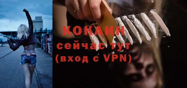 PSILOCYBIN Слюдянка