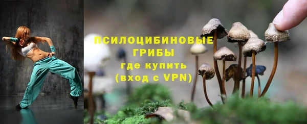 альфа пвп Снежногорск