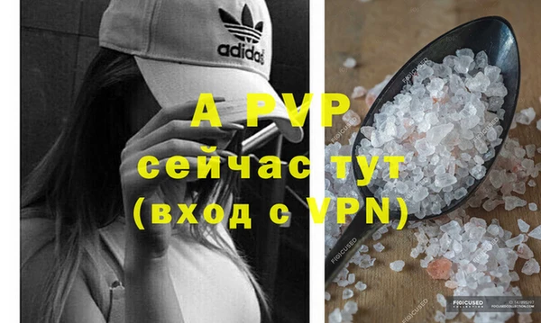 PSILOCYBIN Слюдянка