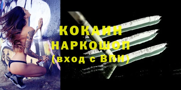 альфа пвп Снежногорск